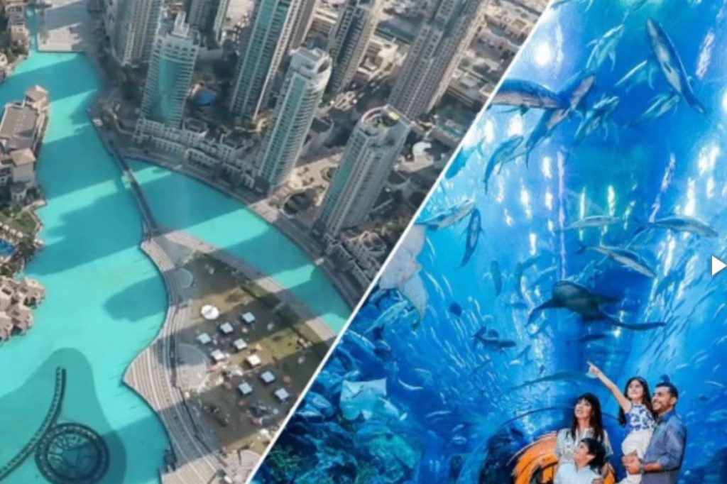 At the Top + Dubai Aquarium